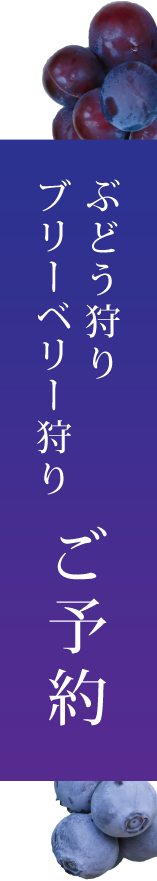 ぶどう狩りブルーベリー狩りご予約